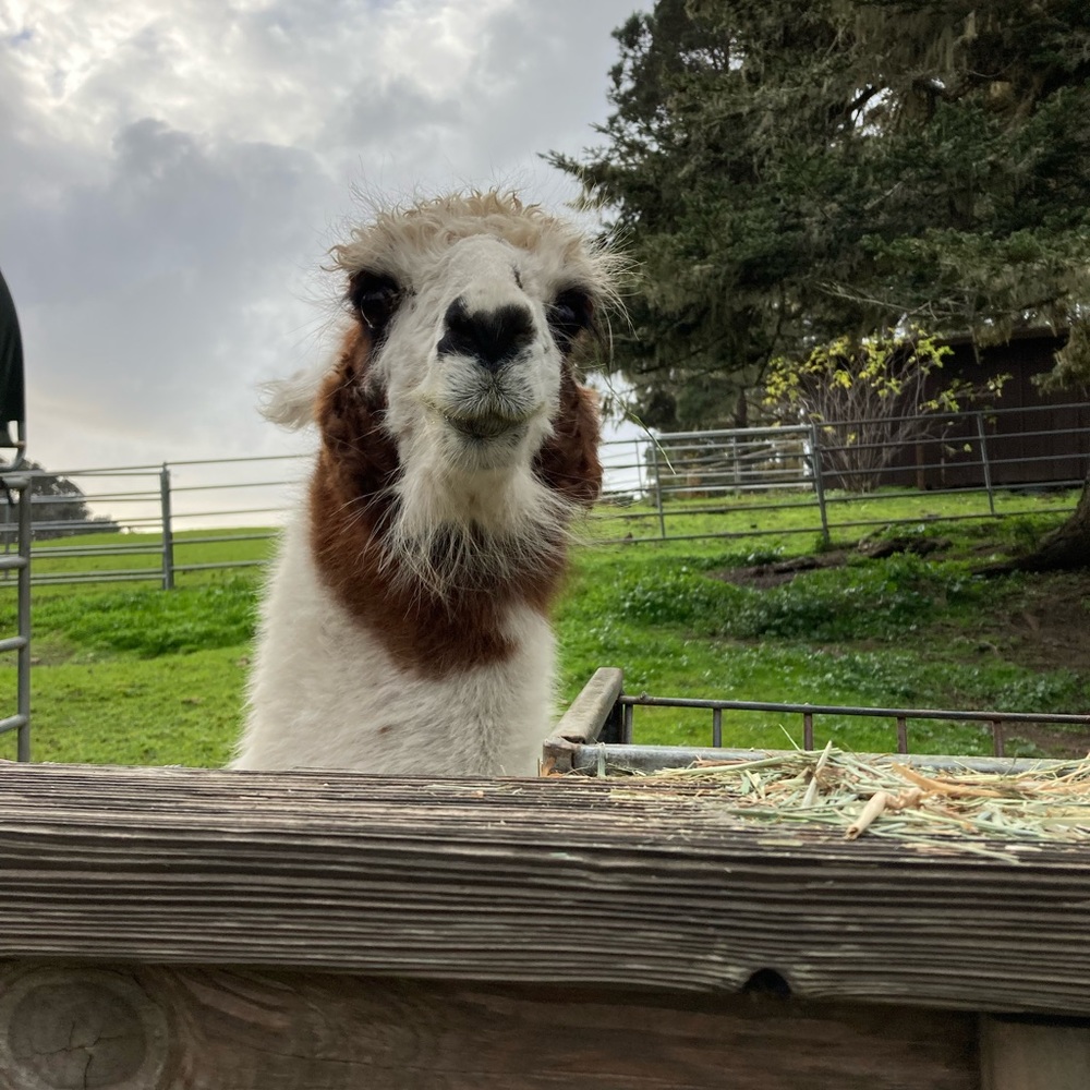 Meet your Posher, Kate